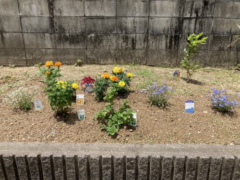 �����񍐎ʐ^